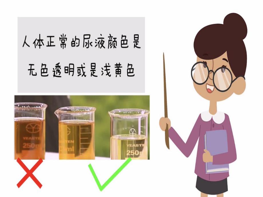 小班健康《尿尿真神奇》PPT课件教案微课件.ppt_第3页