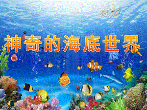 大班科学《神奇的海底世界》PPT课件幼儿园海底世界ppt.ppt