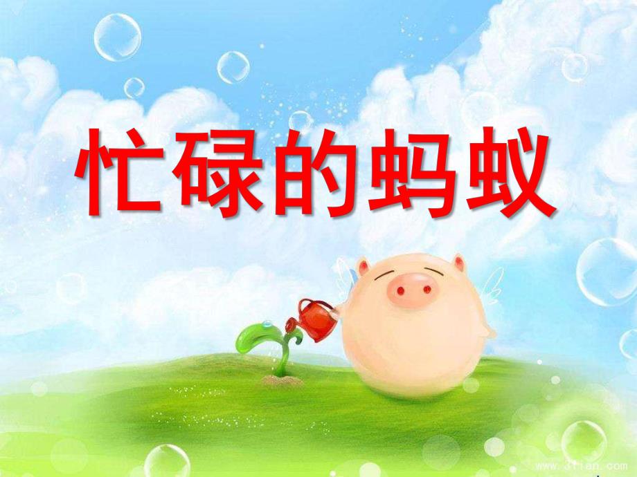 大班美术《忙碌的蚂蚁》PPT课件教案蚂蚁搬西瓜.ppt_第1页