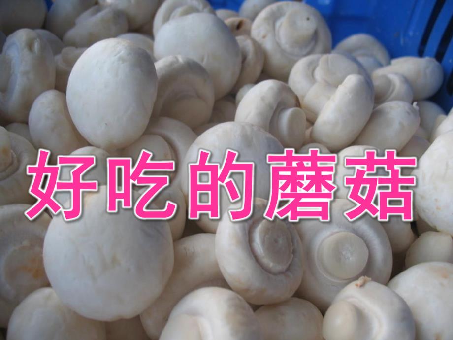大班健康公开课《好吃的蘑菇》PPT课件教案大班科学好吃的蘑菇.ppt_第1页