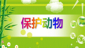 大班社会《保护动物》PPT课件教案大班社会《保护动物》PPT课件下载.ppt