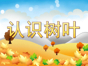 小班科学《认识树叶》PPT课件教案PPT课件.ppt