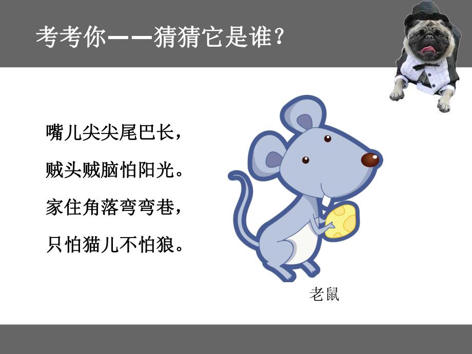 大班语言《可爱的小动物》PPT课件大班语言《可爱的小动物》PPT课件.ppt_第2页