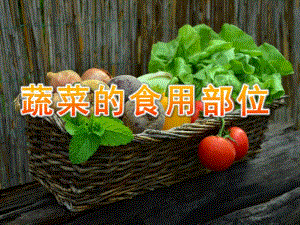大班健康《蔬菜的食用部位》PPT课件教案PPT课件.ppt