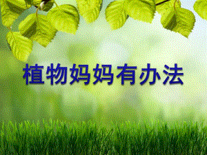 大班语言《植物妈妈有办法》PPT课件教案大班语言：植物妈妈有办法ppt课件.ppt