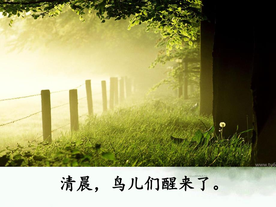 森林里PPT课件教案图片森林里--大班语言.ppt_第2页