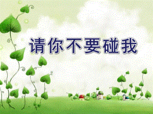 大班健康《请你不要碰我》PPT课件请你不要碰我.ppt