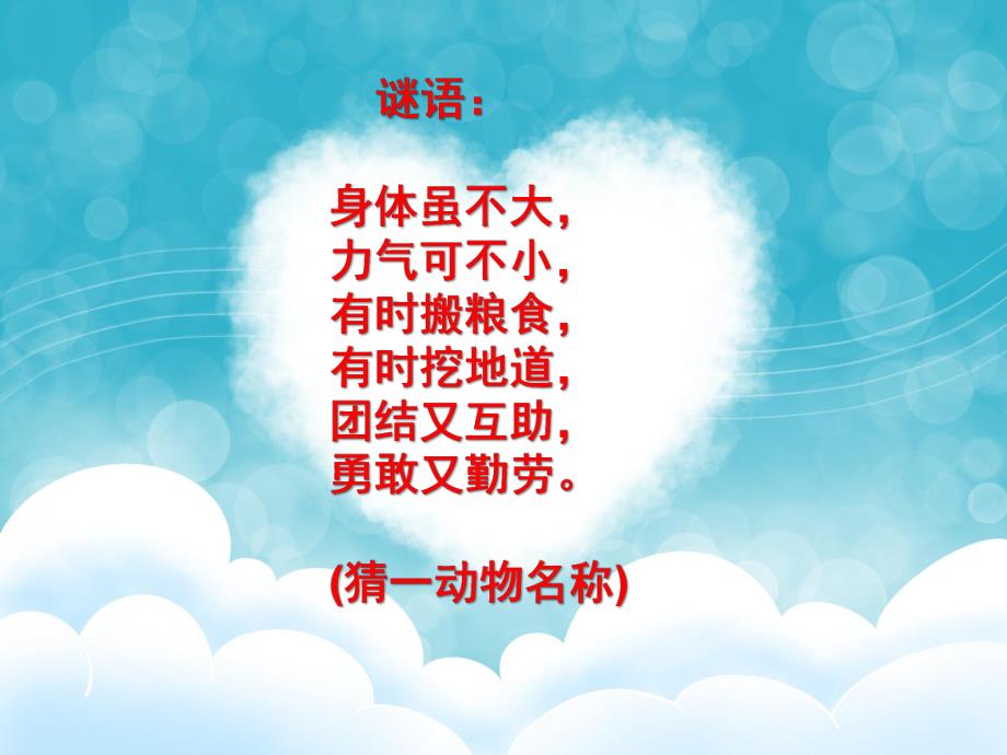 大班科学《可爱的蚂蚁》PPT课件可爱的蚂蚁演示文稿.ppt_第2页