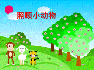 大班《学会照顾小动物》PPT课件教案学会照顾小动物.ppt