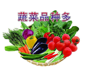 幼儿园《蔬菜品种多》PPT课件蔬菜品种多.ppt