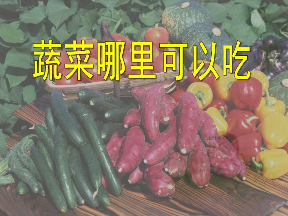幼儿园生活《蔬菜哪里可以吃》PPT课件.ppt_第1页