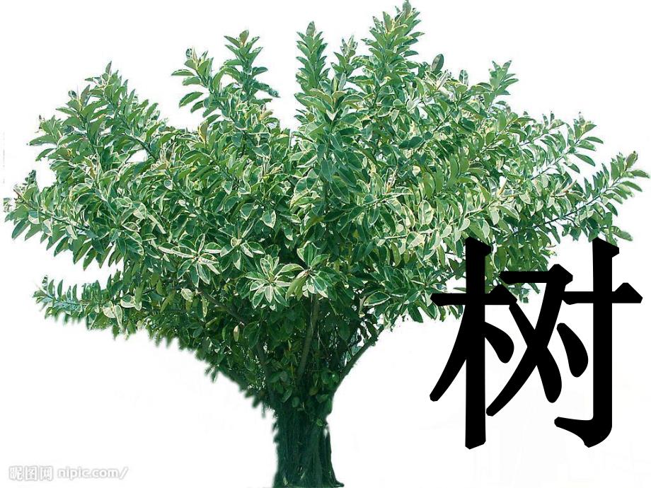 大班阅读《有趣的木》PPT课件教案大班上学期阅读《有趣的“木”》.ppt_第3页