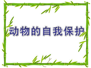大班科学《动物的自我保护》PPT课件教案003d31cdf12d2af90342e682.ppt