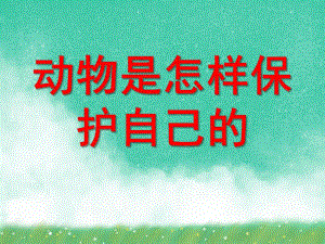 大班科学《动物是怎样保护自己的》PPT课件大班科学《动物是怎样保护自己的》PPT课件.ppt