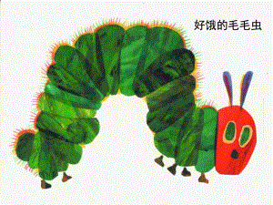 大班美术优质课《叶片上的毛毛虫》视频+课件PPT+教案大班美术《叶片上的毛毛虫》.ppt