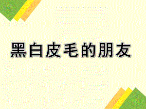 幼儿园《黑白皮毛的朋友》PPT课件教案黑白皮毛的朋友PPT.ppt
