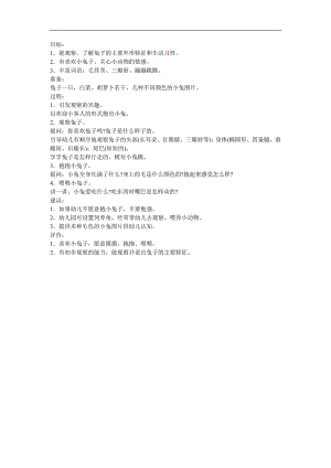 小班科学公开课《可爱的兔子》PPT课件教案参考教案.docx