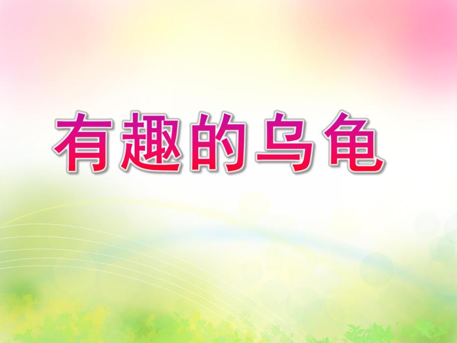 幼儿园美术《有趣的乌龟》PPT课件教案有趣的乌龟.ppt_第1页