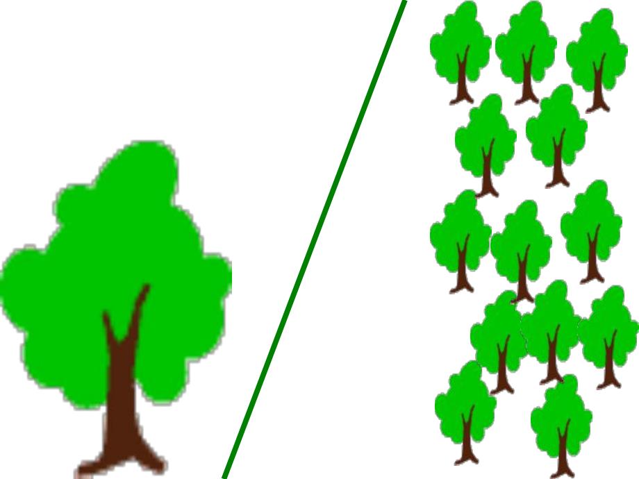 小班数学活动《认识1和许多》PPT课件教案PPT课件.ppt_第3页