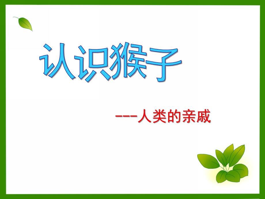 幼儿园《认识猴子》PPT课件认识猴子.ppt_第1页