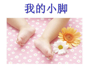 小班主题《我的小脚》PPT课件教案小班教案-我的小脚.ppt