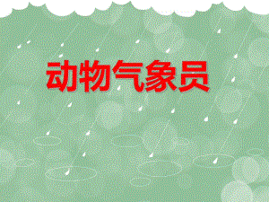 大班科学《动物气象员》PPT课件教案PPT课件.ppt