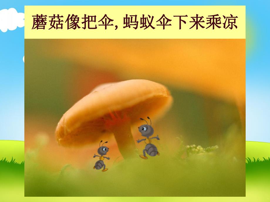 大班语言活动《伞》PPT课件中班诗歌《伞》.ppt_第3页