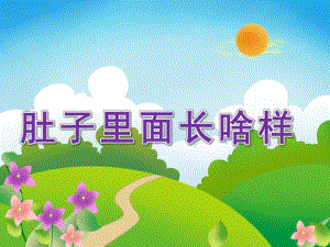 小班科学《肚子里面长啥样》PPT课件教案视频音乐小班科学《肚子里面长啥样》.ppt