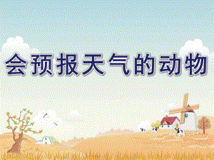 大班科学《会预报天气的动物》PPT课件教案会预报天气的动物.ppt