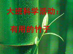 大班科学活动《有用的竹子》PPT课件教案幼儿园大班科学活动：有用的竹子.ppt