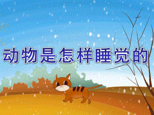 大班科学《动物是怎样睡觉的》PPT课件教案小动物是怎样睡觉的.ppt
