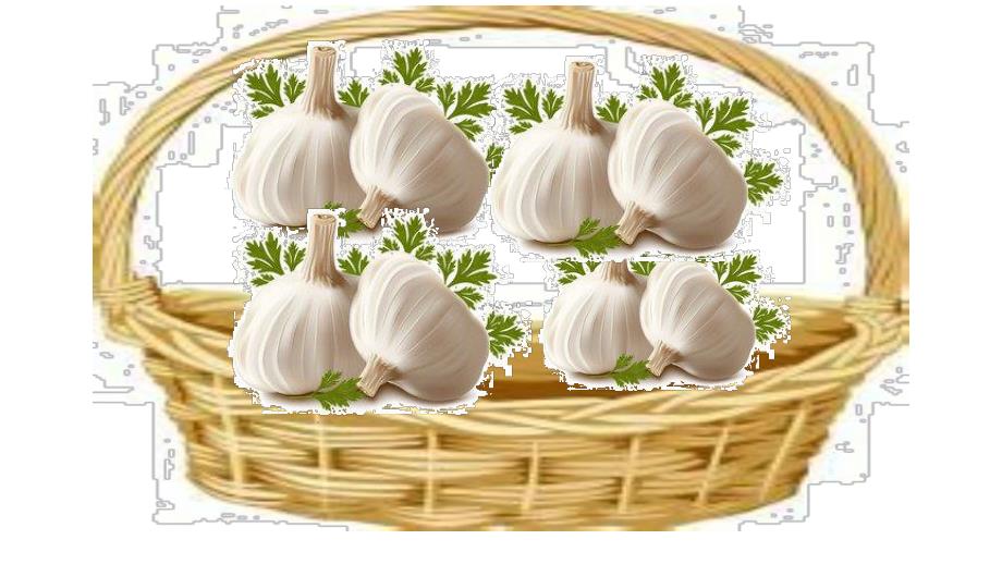 大班律动《聪明的一休》PPT课件教案说课稿配乐大班律动《聪明的一休》课件.ppt_第3页