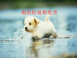 大班科学《雨的好处和危害》PPT课件大班科学课件：雨的好处和危害.ppt