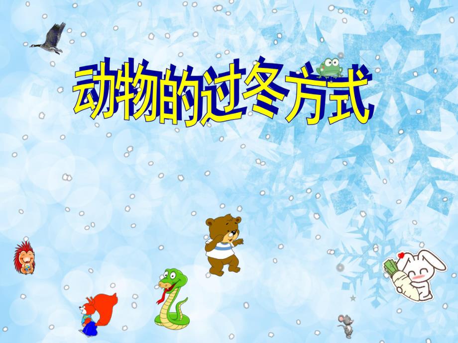 大班科学教育《动物的过冬方式》PPT课件教案音频PPT课件.ppt_第1页