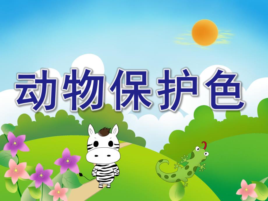 幼儿园《动物保护色》PPT课件教案动物保护色.ppt_第1页
