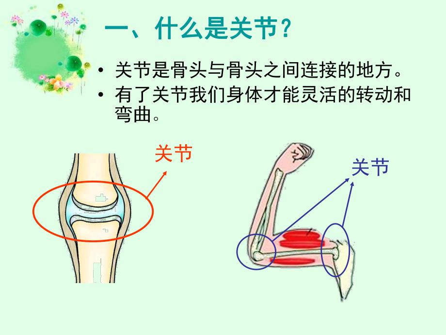 大班健康《认识人体关节》PPT课件教案PPT课件.ppt_第2页