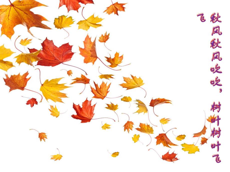 树叶蝴蝶PPT课件教案图片树叶蝴蝶-小班.ppt_第3页