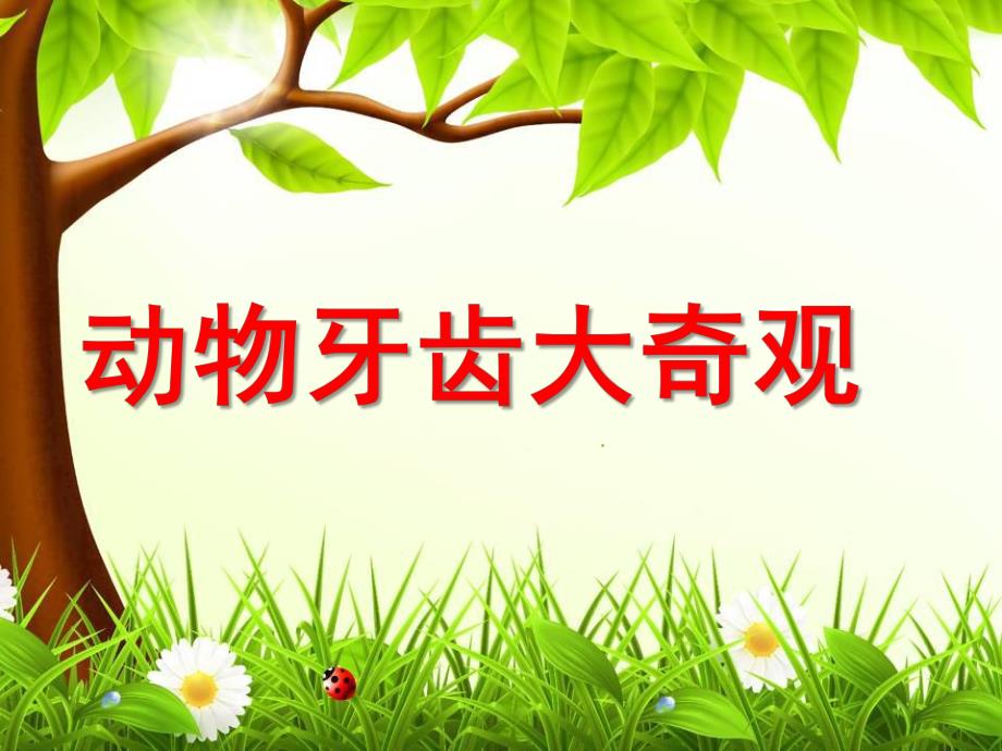 大班健康《动物牙齿大奇观》PPT课件动物牙齿大奇观.ppt_第1页