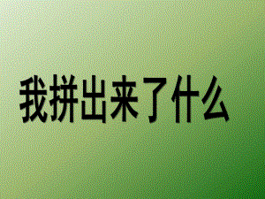 大班科学《我拼出来了什么》PPT课件大班科学课件PPT.ppt