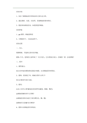 中班科学《认识蚂蚁》PPT课件教案参考教案.docx