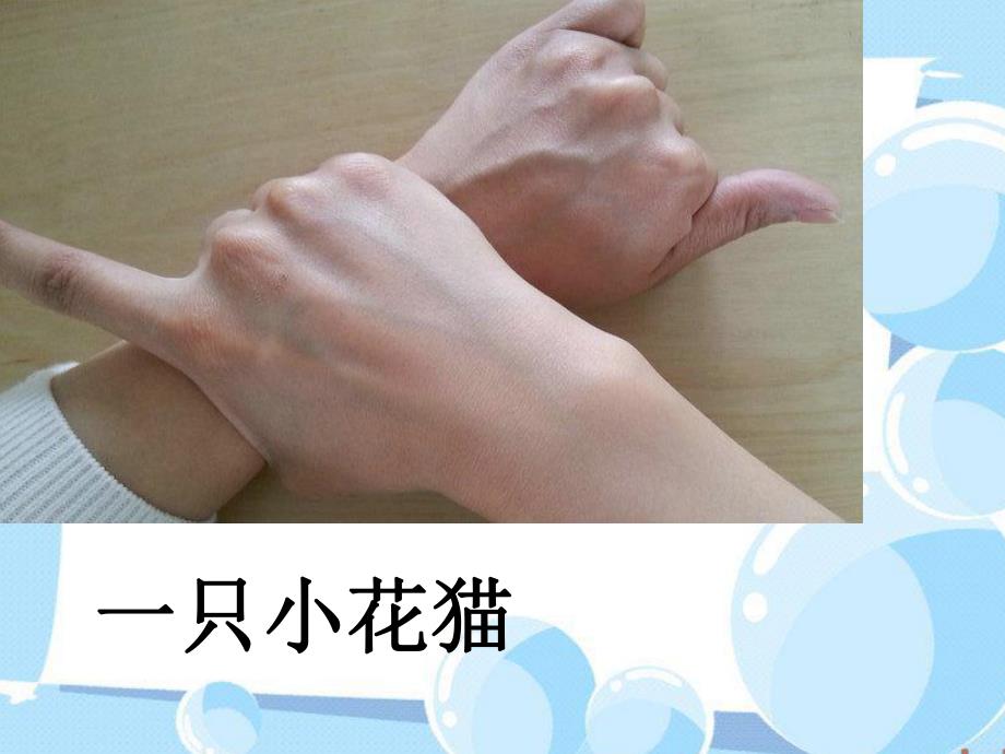 小班手指游戏《一只小花猫》PPT课件教案PPT课件.ppt_第2页