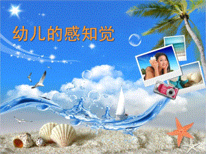 幼儿园幼儿的感知觉PPT课件幼儿的感知觉.ppt