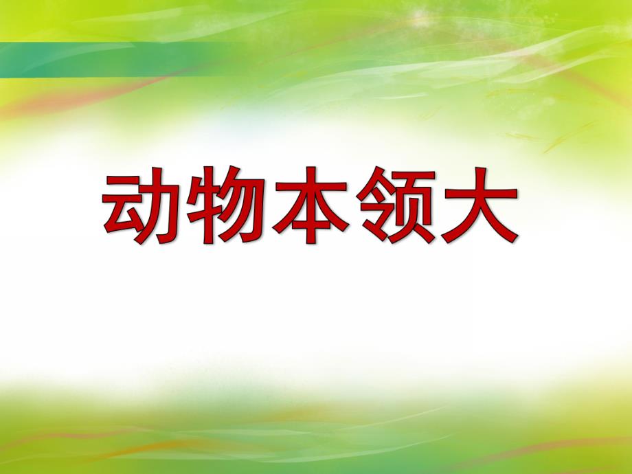 大班科学活动《动物本领大》PPT课件教案PPT课件.ppt_第1页