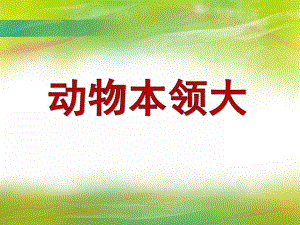 大班科学活动《动物本领大》PPT课件教案PPT课件.ppt