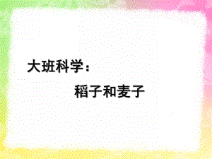 大班科学《稻子和麦子》PPT课件教案稻子和麦子.ppt