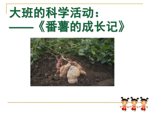 大班科学活动《番薯成长记》PPT课件大班课题科学活动《番薯成长记》.ppt