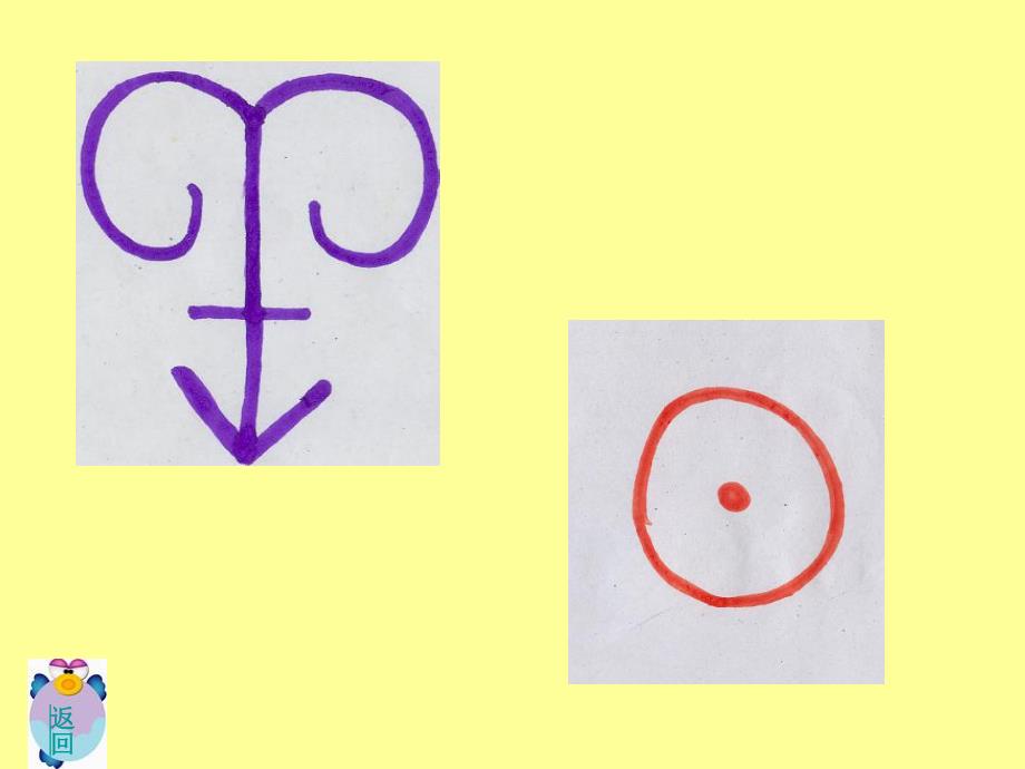 大班语言优质课《有趣的汉字》PPT课件教案大班《象形字》.ppt_第2页