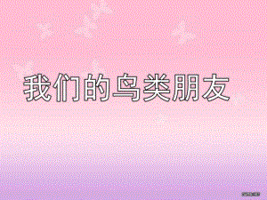 大班社会活动《我们的鸟类朋友》PPT课件大班社会活动《我们的鸟类朋友》.ppt
