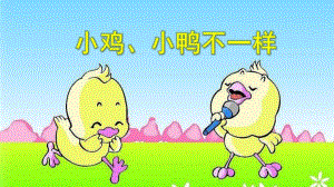 小班科学《小鸡、小鸭不一样》PPT课件教案音乐音频PPT课件.ppt