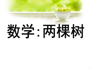 幼儿园数学《两棵树》PPT课件.ppt
